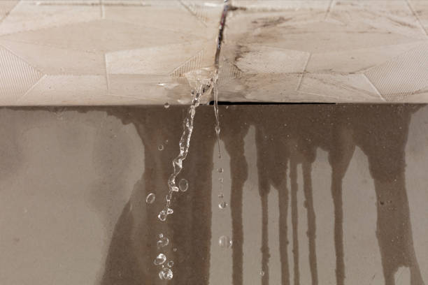 Professional Water Damage Repair technician working in Newark, IL